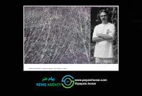 خوش در میان درختان در گالری ماد