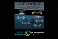 موفقیت جهانی تازه برای پگاه ساجدی با فیلم کوتاه «اسب دریایی»