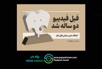 «فیل» فیدیبو ۲ ساله شد/ اضافه شدن بخش‌های تازه