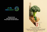 گزارش تصویری نمایش «نماینده اونجا» در تئاتر ‌هامون