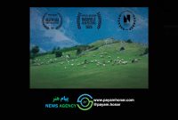 حضور فیلم کوتاه «گوسفند» در جشنواره‌های آمریکایی،انگلیسی